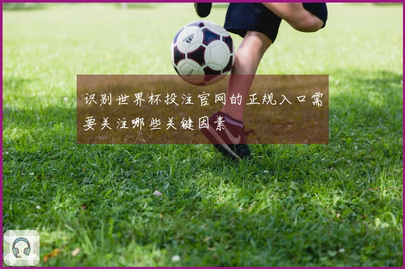 识别世界杯投注官网的正规入口需要关注哪些关键因素