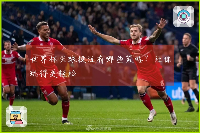 世界杯买球投注有哪些策略？让你玩得更轻松