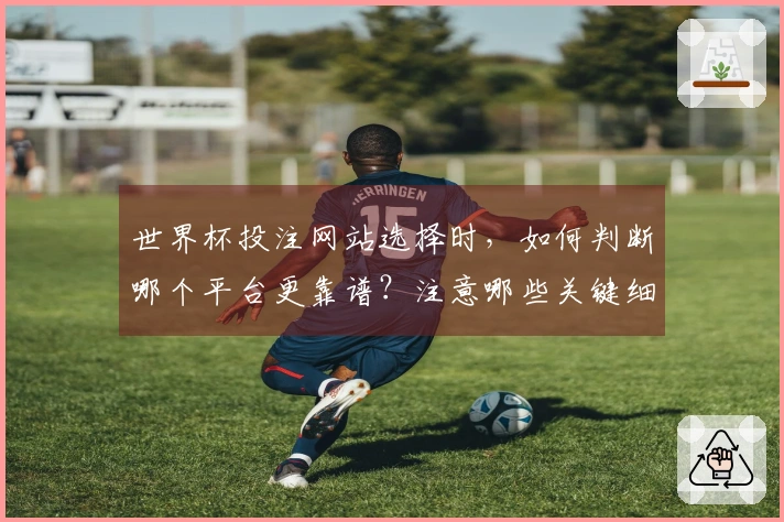 世界杯投注网站选择时，如何判断哪个平台更靠谱？注意哪些关键细节？