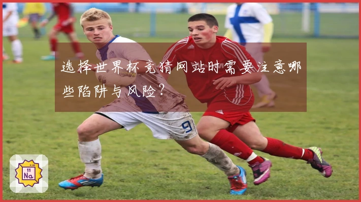 选择世界杯竞猜网站时需要注意哪些陷阱与风险？