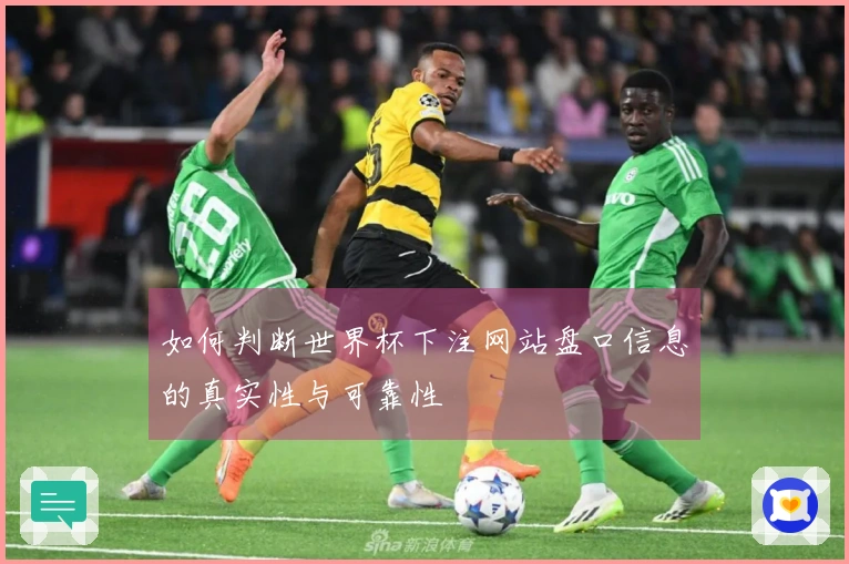如何判断世界杯下注网站盘口信息的真实性与可靠性