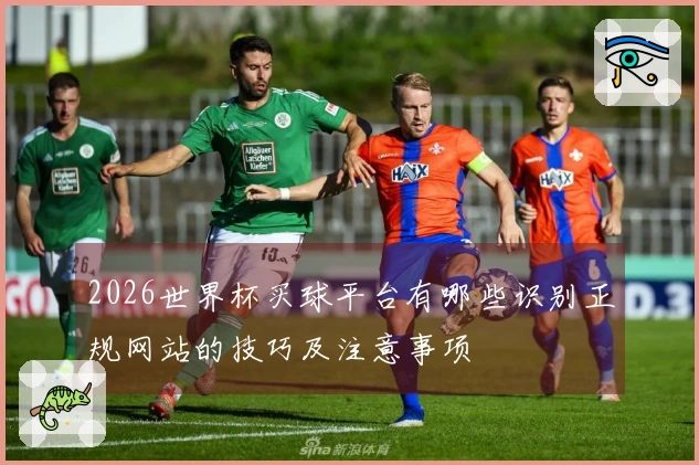 2026世界杯买球平台有哪些识别正规网站的技巧及注意事项