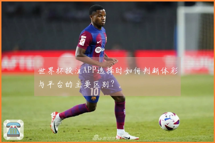 世界杯投注APP选择时如何判断体彩与平台的主要区别？