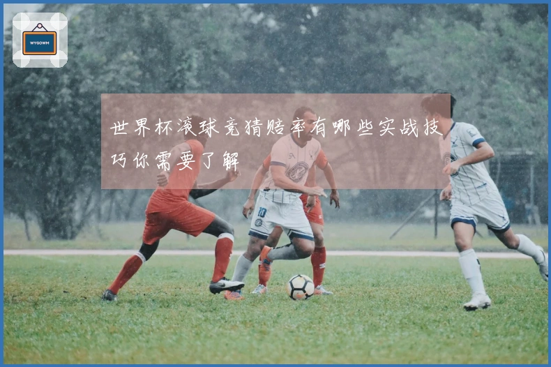 世界杯滚球竞猜赔率有哪些实战技巧你需要了解