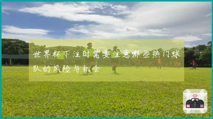 世界杯下注时需要注意哪些热门球队的风险与机会