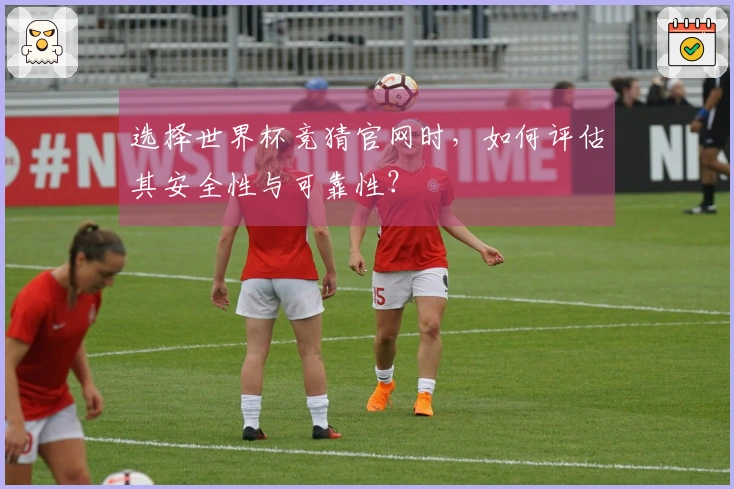 选择世界杯竞猜官网时，如何评估其安全性与可靠性？