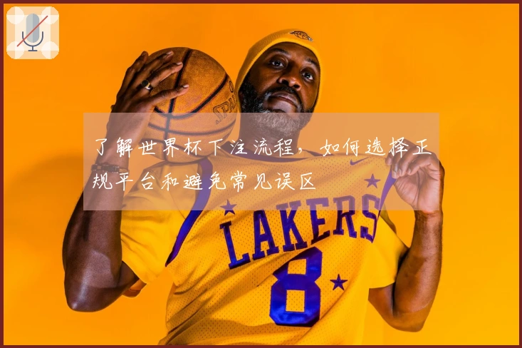 了解世界杯下注流程，如何选择正规平台和避免常见误区
