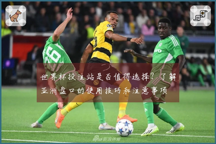 世界杯投注站是否值得选择？了解亚洲盘口的使用技巧和注意事项