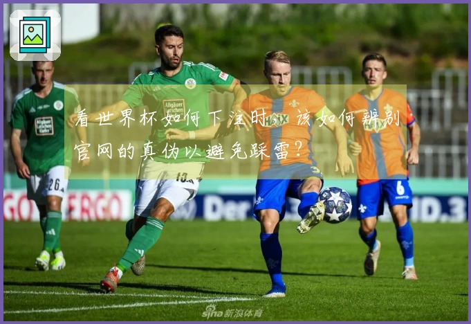 看世界杯如何下注时，该如何辨别官网的真伪以避免踩雷？