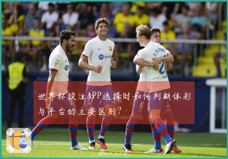 世界杯投注APP选择时如何判断体彩与平台的主要区别？
