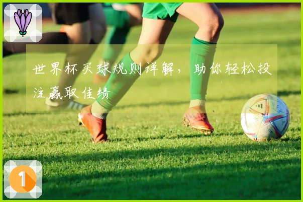 世界杯买球规则详解，助你轻松投注赢取佳绩