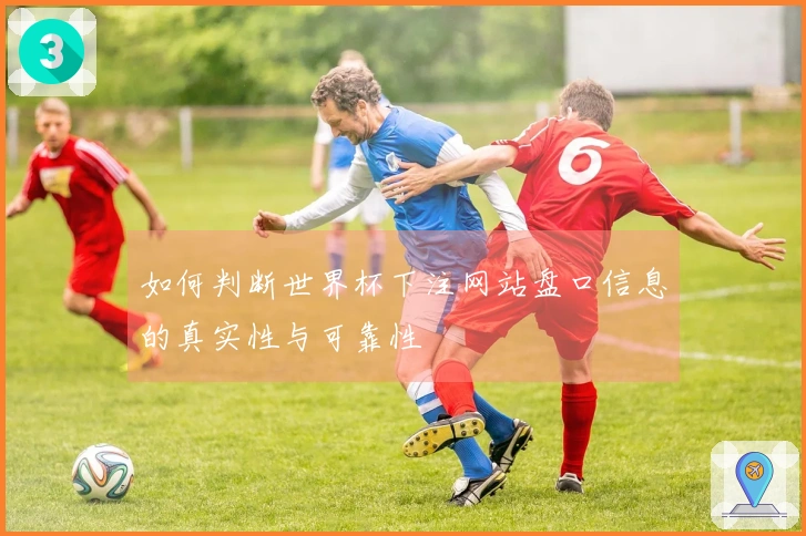 如何判断世界杯下注网站盘口信息的真实性与可靠性