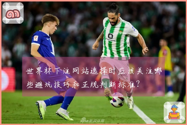 世界杯下注网站选择时应该关注哪些避坑技巧和正规判断标准？