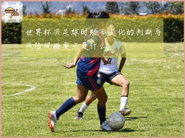世界杯买足球时赔率变化的判断与风险规避要点是什么