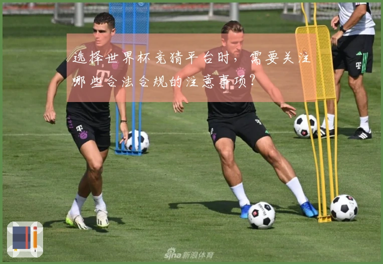 选择世界杯竞猜平台时，需要关注哪些合法合规的注意事项？