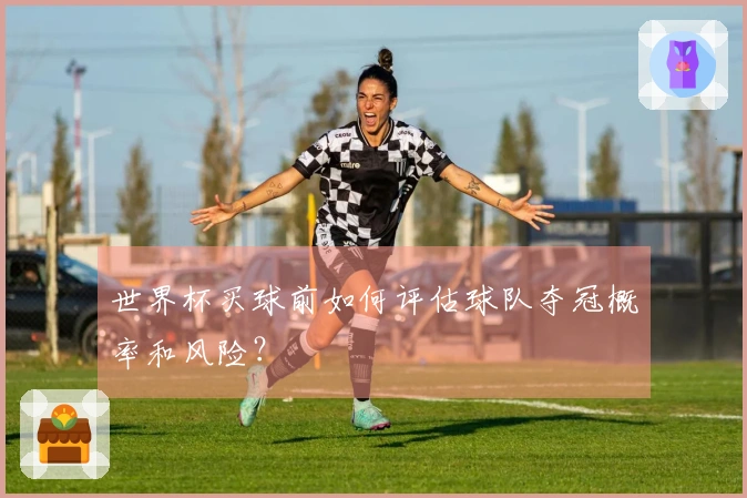 世界杯买球前如何评估球队夺冠概率和风险？