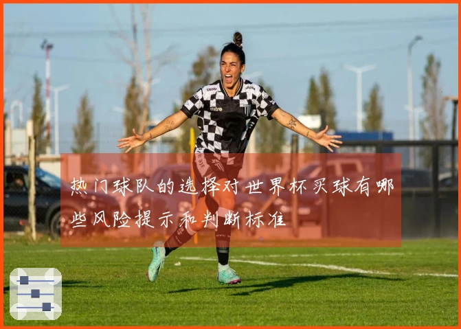 热门球队的选择对世界杯买球有哪些风险提示和判断标准