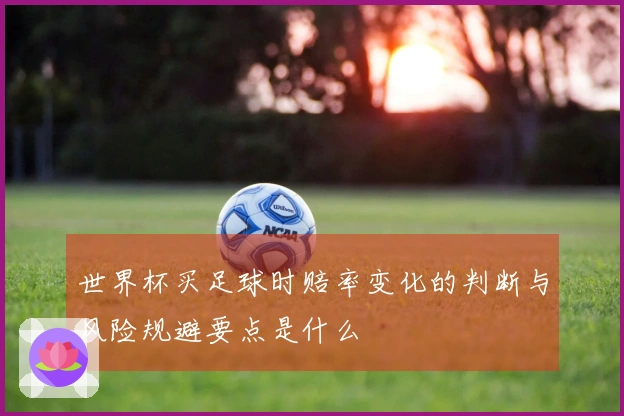 世界杯买足球时赔率变化的判断与风险规避要点是什么