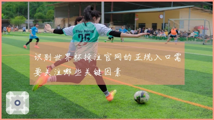 识别世界杯投注官网的正规入口需要关注哪些关键因素