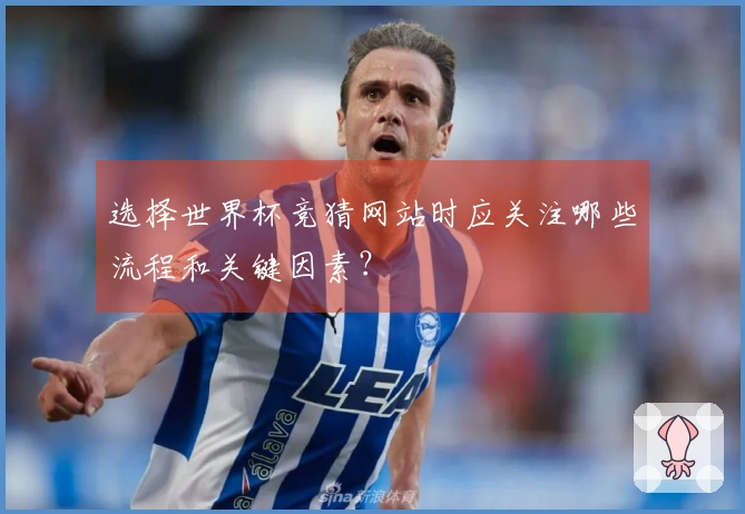 选择世界杯竞猜网站时应关注哪些流程和关键因素？