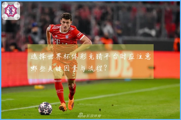 选择世界杯体彩竞猜平台时应注意哪些关键因素与流程？